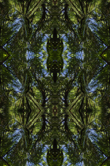 Forest Abstract 77