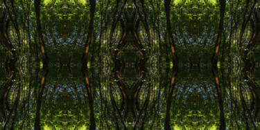 Forest Abstract 78