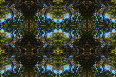 Forest Abstract 80