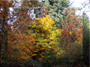 Autumn View 9