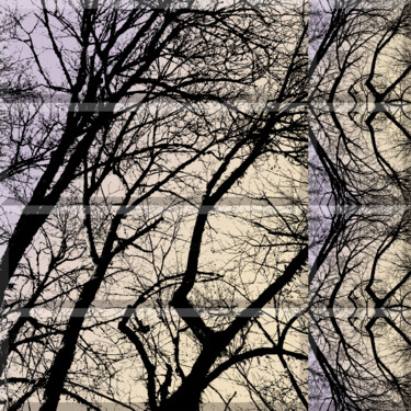 Wintry Forest 4