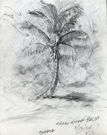 Beach Sketch 3 (Anahola Afternoon Palm)