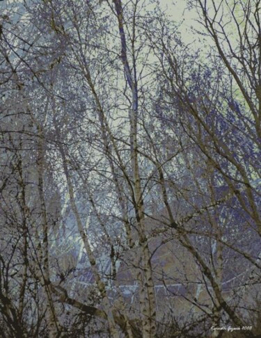 Winter Forest 5