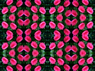 Kaleidoscopic Garden 10