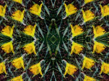 Kaleidoscopic Garden 26