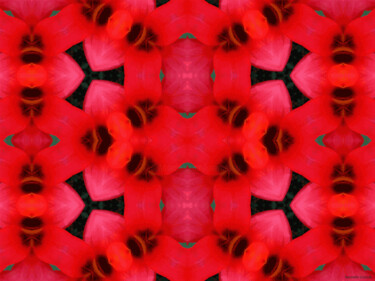 Kaleidoscopic Garden 55