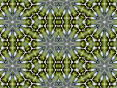 Kaleidoscopic Garden 63