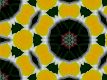 Kaleidoscopic Garden 66