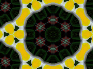 Kaleidoscopic Garden 67