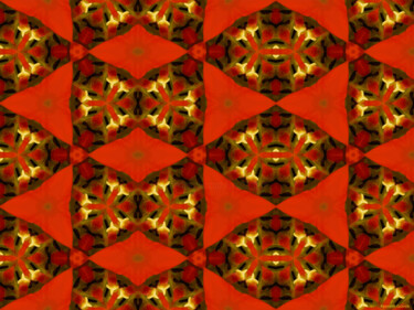 Kaleidoscopic Garden 71