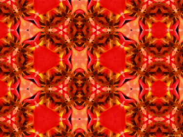 Kaleidoscope Geometry Pattern From Nature 4