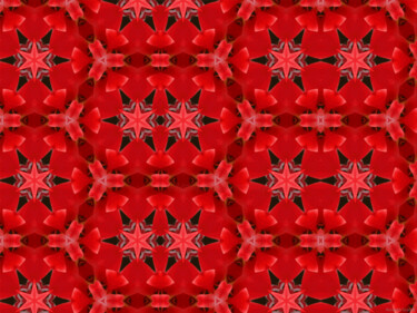 Kaleidoscope Geometry Pattern From Nature 8