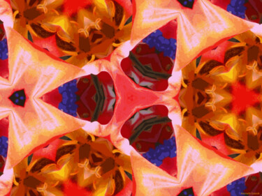 Kaleidoscope Geometry Pattern From Nature 11