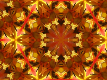 Kaleidoscope Geometry Pattern From Nature 15