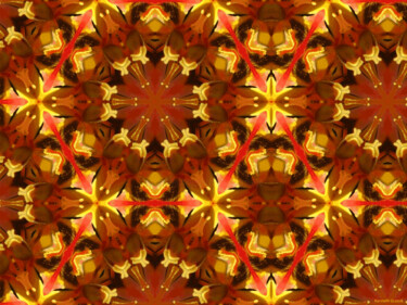 Kaleidoscope Geometry Pattern From Nature 16