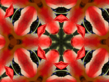 Kaleidoscope Geometry Pattern From Nature 17