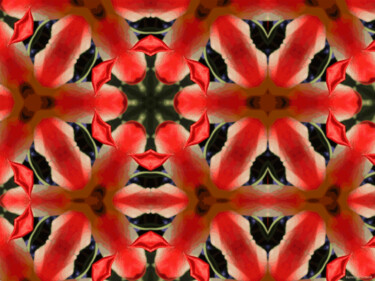 Kaleidoscope Geometry Pattern From Nature 18