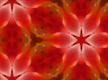 Kaleidoscope Geometry Pattern From Nature 19