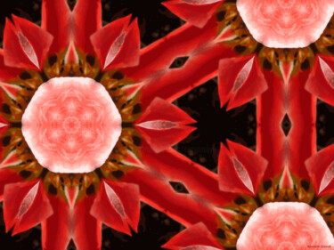 Kaleidoscope Geometry Pattern From Nature 21