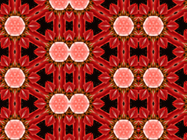 Kaleidoscope Geometry Pattern From Nature 22