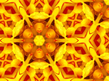 Kaleidoscope Geometry Pattern From Nature 24