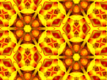 Kaleidoscope Geometry Pattern From Nature 25