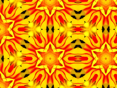 Kaleidoscope Geometry Pattern From Nature 30