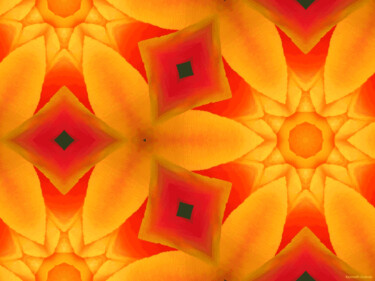 Kaleidoscope Geometry Pattern From Nature 31