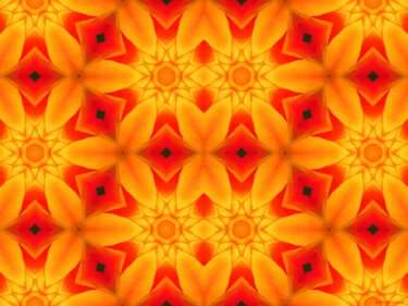 Kaleidoscope Geometry Pattern From Nature 32