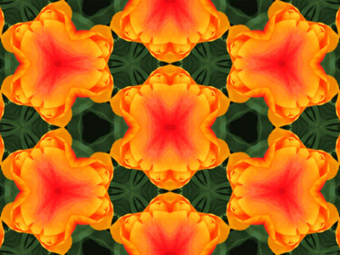 Kaleidoscope Geometry Pattern From Nature 34