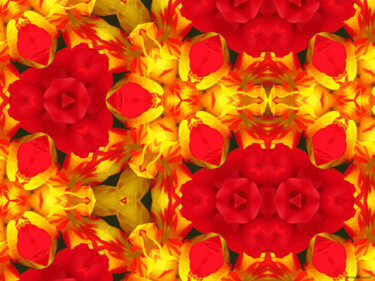 Kaleidoscope Geometry Pattern From Nature 36