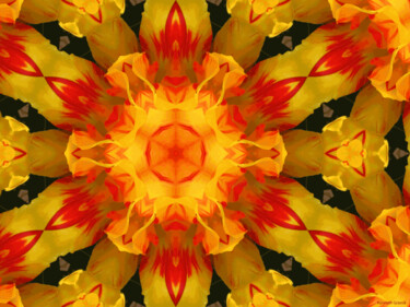 Kaleidoscope Geometry Pattern From Nature 37