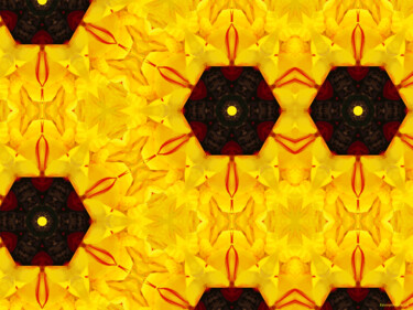 Kaleidoscope Geometry Pattern From Nature 40