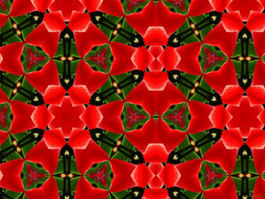 Kaleidoscope Geometry Pattern From Nature 41