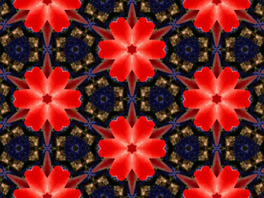 Kaleidoscope Geometry Pattern From Nature 42