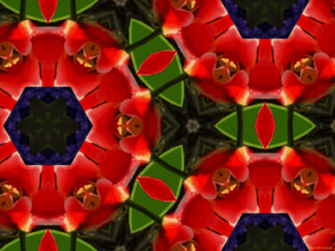 Kaleidoscope Geometry Pattern From Nature 43