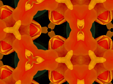 Kaleidoscope Geometry Pattern From Nature 45