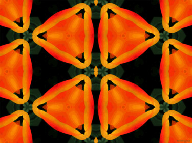 Kaleidoscope Geometry Pattern From Nature 46