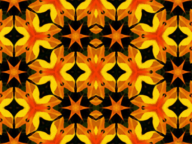 Kaleidoscope Geometry Pattern From Nature 50