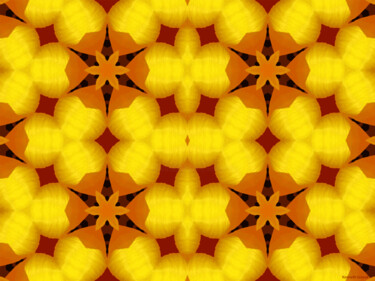 Kaleidoscope Geometry Pattern From Nature 52