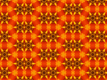 Kaleidoscope Geometry Pattern From Nature 53