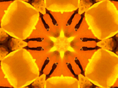 Kaleidoscope Geometry Pattern From Nature 55