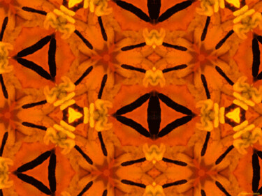 Kaleidoscope Geometry Pattern From Nature 57