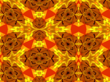 Kaleidoscope Geometry Pattern From Nature 58