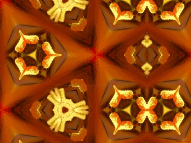 Kaleidoscope Geometry Pattern From Nature 59