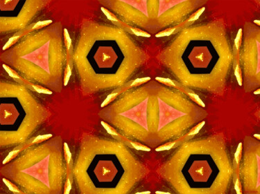 Kaleidoscope Geometry Pattern From Nature 60