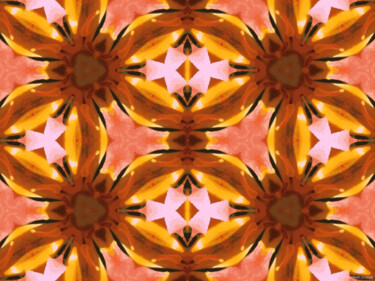 Kaleidoscope Geometry Pattern From Nature 61