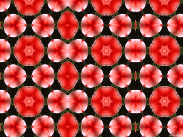 Kaleidoscope Geometry Pattern From Nature 62