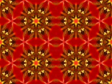 Kaleidoscope Geometry Pattern From Nature 64