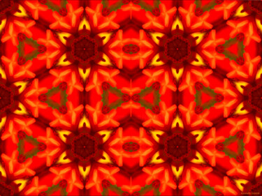 Kaleidoscope Geometry Pattern From Nature 65